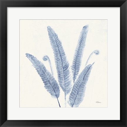 Framed Forest Ferns II v2 Blue Print