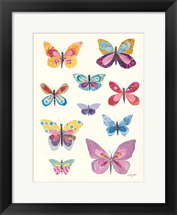 Framed Butterfly Charts II Print