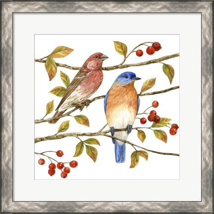 Framed Birds &amp; Berries IV Print
