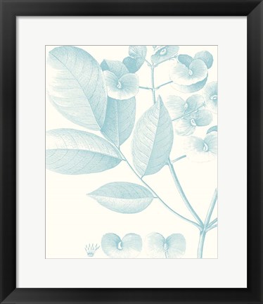 Framed Botanical Study in Spa V Print
