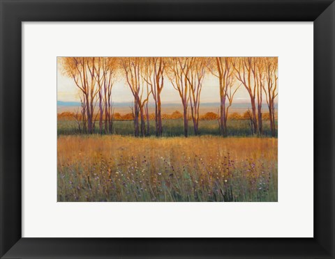 Framed Glow in the Afternoon II Print