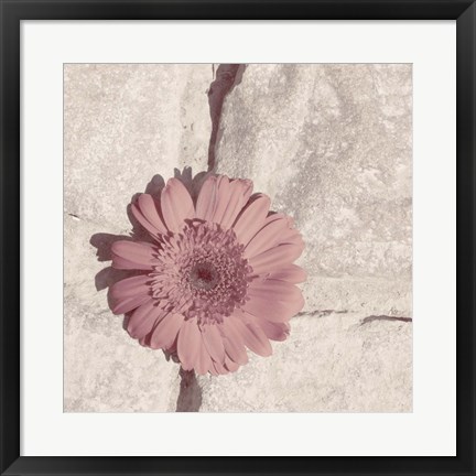 Framed Stone Blossom I Print