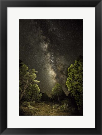 Framed Stargazer 4 Print
