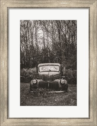 Framed Bumper in Weeds Print