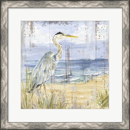 Framed Birds of the Coast Rustic I Print