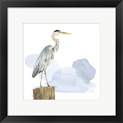 Framed Birds of the Coast on White I Print