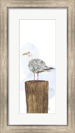 Framed Birds of the Coast Panel IV Print