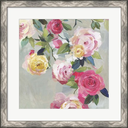 Framed Cascade of Roses I Print