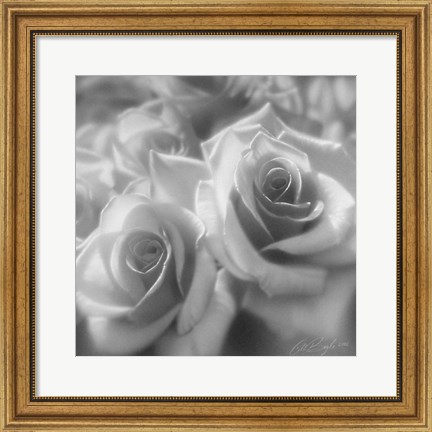 Framed Rose Pair B&amp;W Print