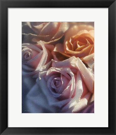 Framed Rose Pedals Print