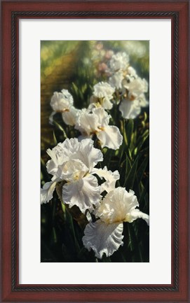 Framed Iris Garden Print