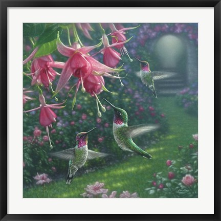 Framed Hummingbird Haven - Square Print