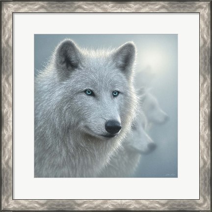Framed Arctic Wolves - Whiteout Print
