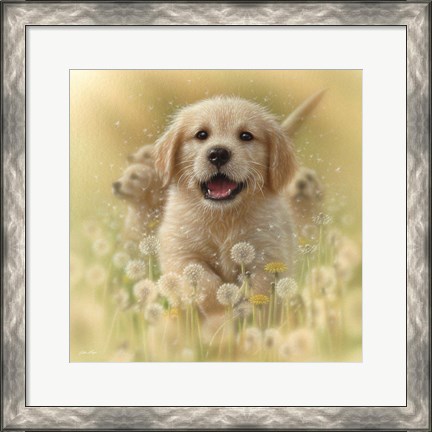 Framed Golden Retriever Puppy - Dandelions - Square Print