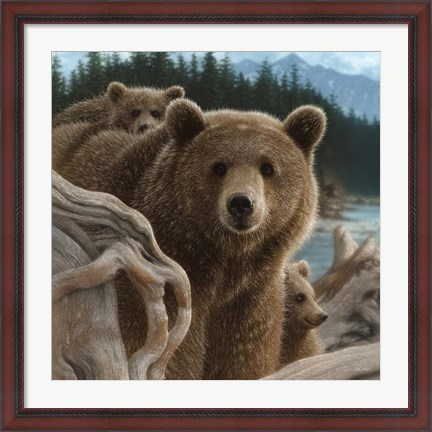 Framed Brown Bears - Backpacking - Square Print