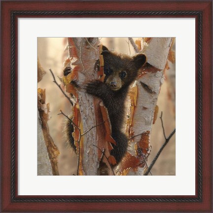 Framed Curious Cub II Print