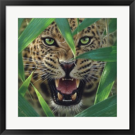 Framed Jaguar - Ambush Print