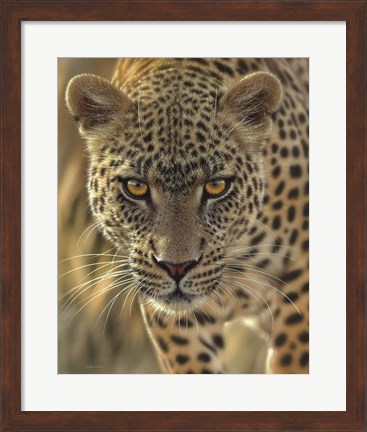 Framed Leopard - On the Prowl Print