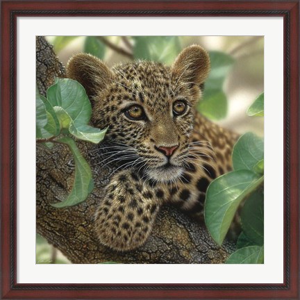 Framed Leopard Cub - Tree Hugger Print