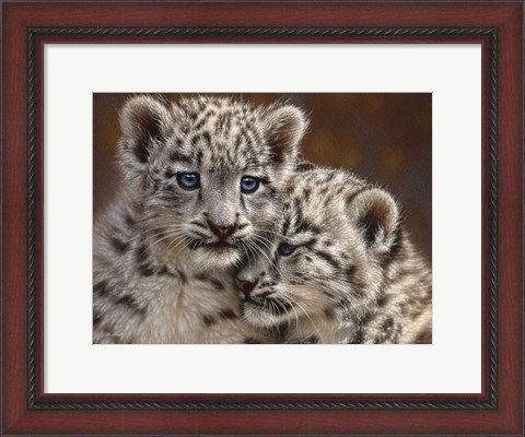 Framed Snow Leopard Cubs - Playmates - Horizontal Print