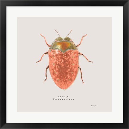 Framed Adorning Coleoptera V Sq Camelia Print