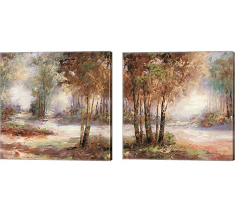 Light in Balance 2 Piece Canvas Print Set by Cory Bannister