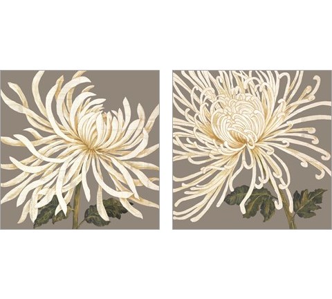 Glorious White 2 Piece Art Print Set by Judy Shelby
