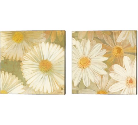 Daisy Story Square 2 Piece Canvas Print Set by Kathrine Lovell