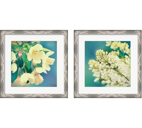 Natures Apple Blossom 2 Piece Framed Art Print Set by Sue Schlabach