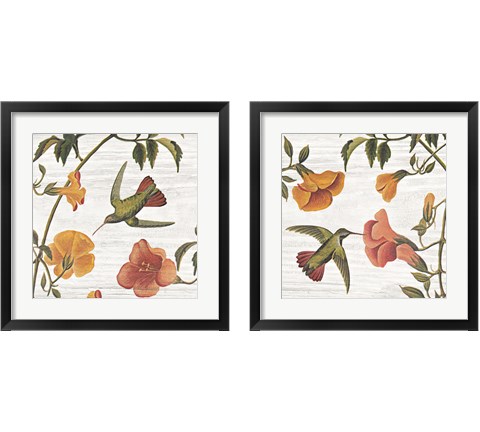 Vintage Hummingbird 2 Piece Framed Art Print Set by Wild Apple Portfolio