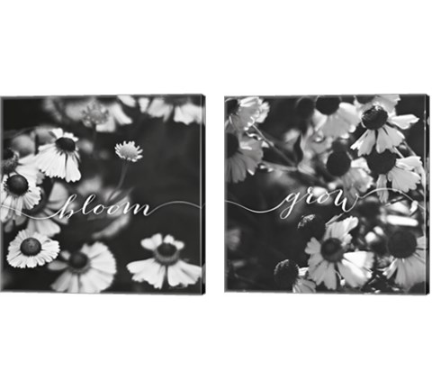Bloom and Grow 2 Piece Canvas Print Set by Laura Marshall