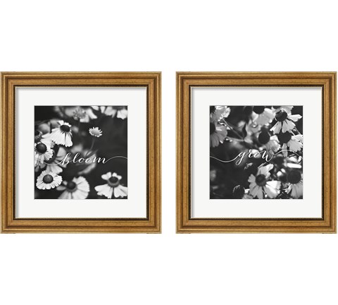 Bloom and Grow 2 Piece Framed Art Print Set by Laura Marshall