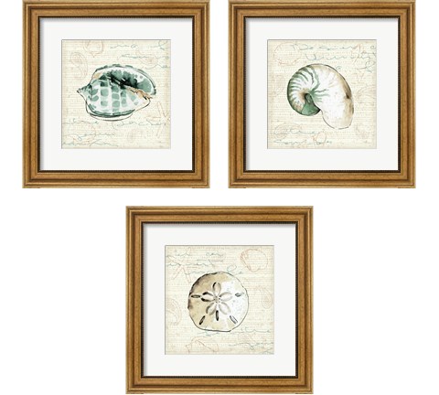 Ocean Prints 3 Piece Framed Art Print Set by Pela Studio