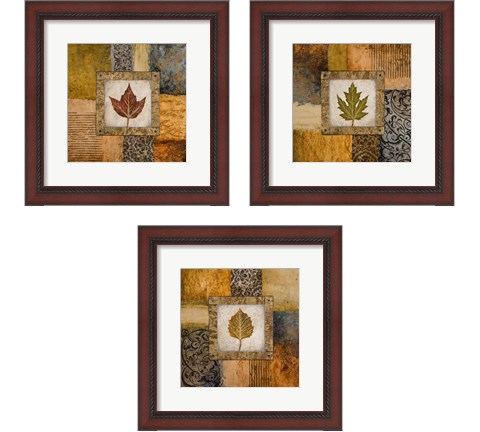 Fallen Leaf 3 Piece Framed Art Print Set by Michael Marcon