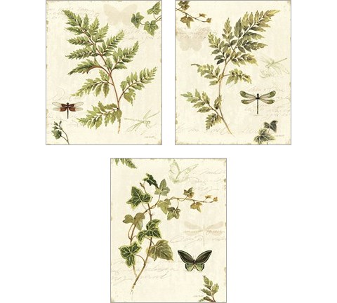 Ivies and Ferns 3 Piece Art Print Set by Lisa Audit