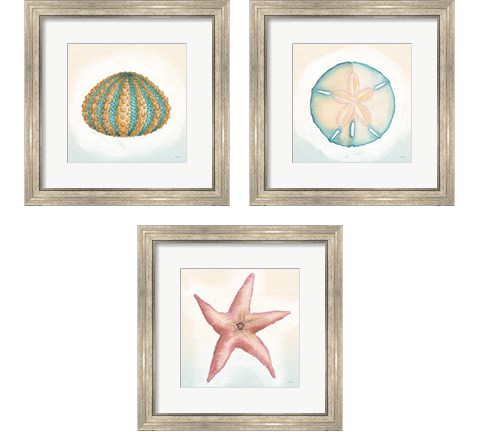 Boardwalk Sea Life 3 Piece Framed Art Print Set by Wild Apple Portfolio