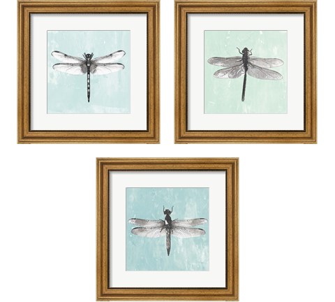 Dragonfly  3 Piece Framed Art Print Set by PI Galerie