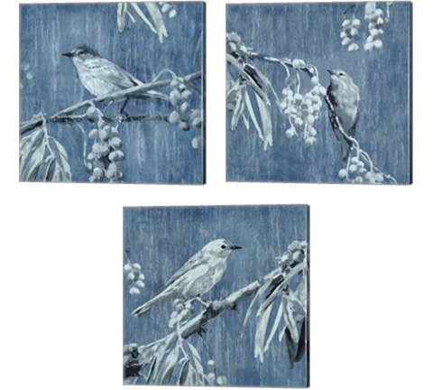 Denim Songbird 3 Piece Canvas Print Set by Edward Selkirk
