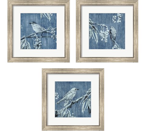 Denim Songbird 3 Piece Framed Art Print Set by Edward Selkirk
