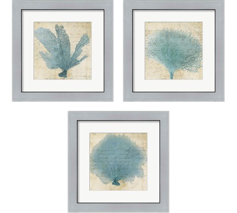 Blue Coral 3 Piece Framed Art Print Set by Posters International Studio
