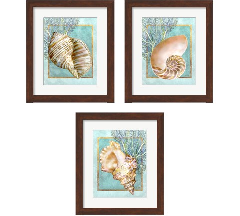Shells and Coral 3 Piece Framed Art Print Set by Lori Shory