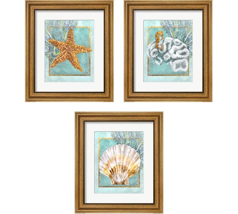 Coral and Seahorse 3 Piece Framed Art Print Set by Lori Shory