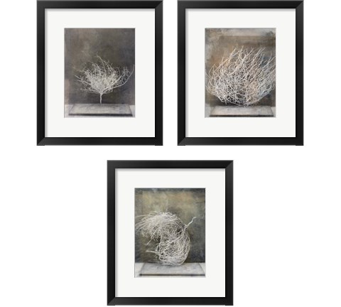 Desert Form 3 Piece Framed Art Print Set by Elena Ray