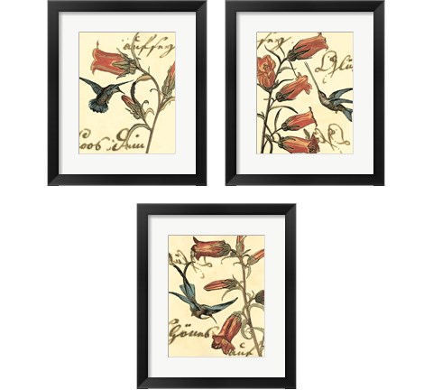 Small Hummingbird Reverie 3 Piece Framed Art Print Set