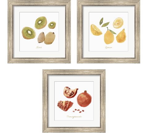 Fruit 3 Piece Framed Art Print Set by Isabelle Z
