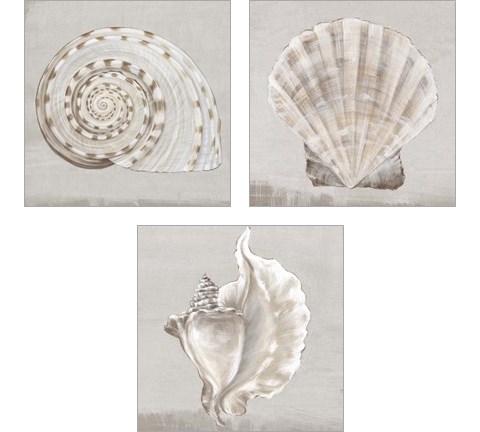 Neutral Shells 3 Piece Art Print Set by Eva Watts