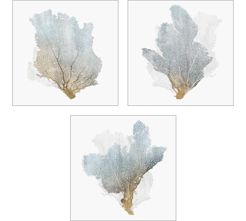 Delicate Coral  3 Piece Art Print Set by Isabelle Z