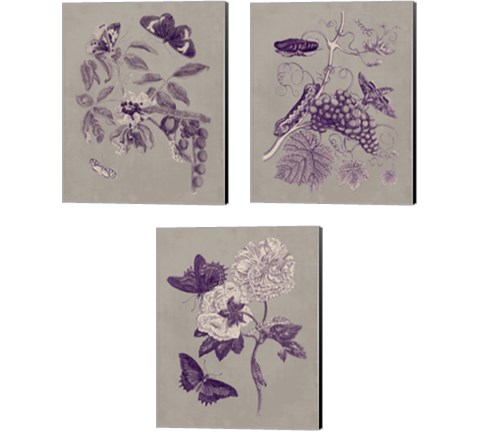 Nature Study in Plum & Taupe 3 Piece Canvas Print Set by Maria Sibylla Merian