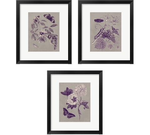 Nature Study in Plum & Taupe 3 Piece Framed Art Print Set by Maria Sibylla Merian