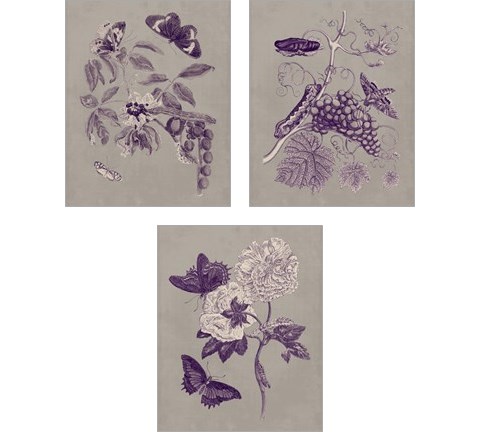 Nature Study in Plum & Taupe 3 Piece Art Print Set by Maria Sibylla Merian